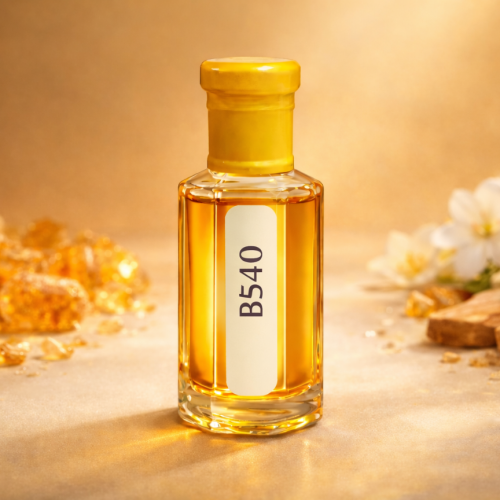 B540